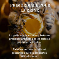 Elixir de la Ruche