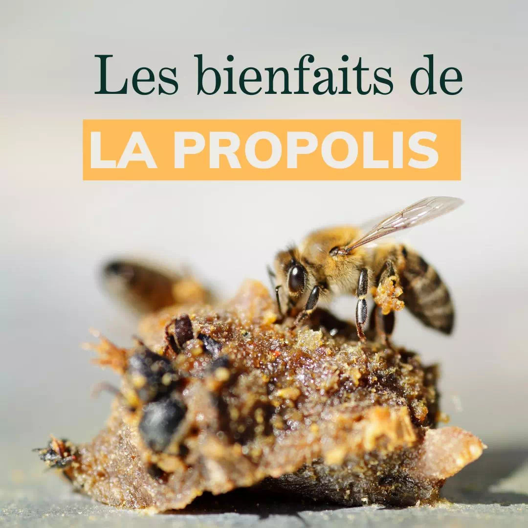 Spray Nasal à la Propolis